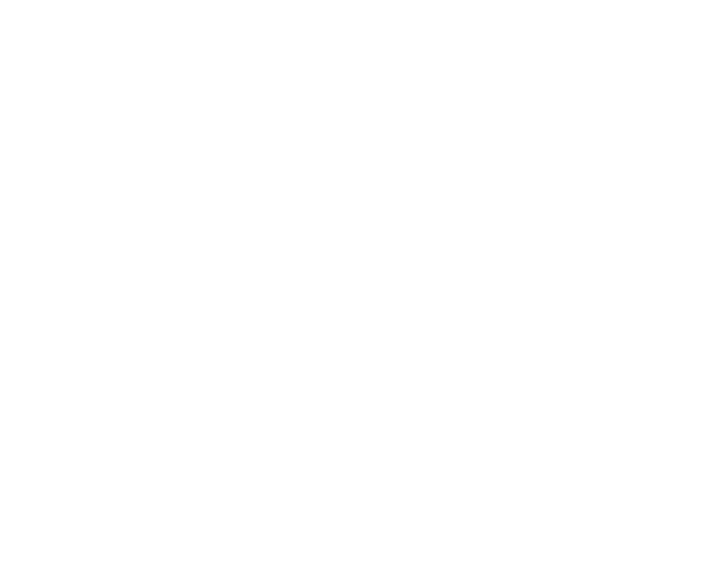 Plininger & Partner PartG mbB