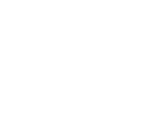 Lange Ingenieure PartG mbB